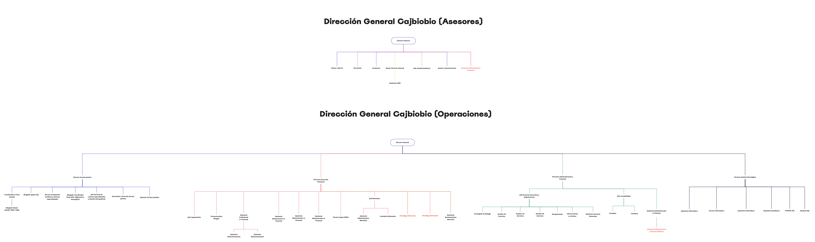 Organigrama CAJ Biobio